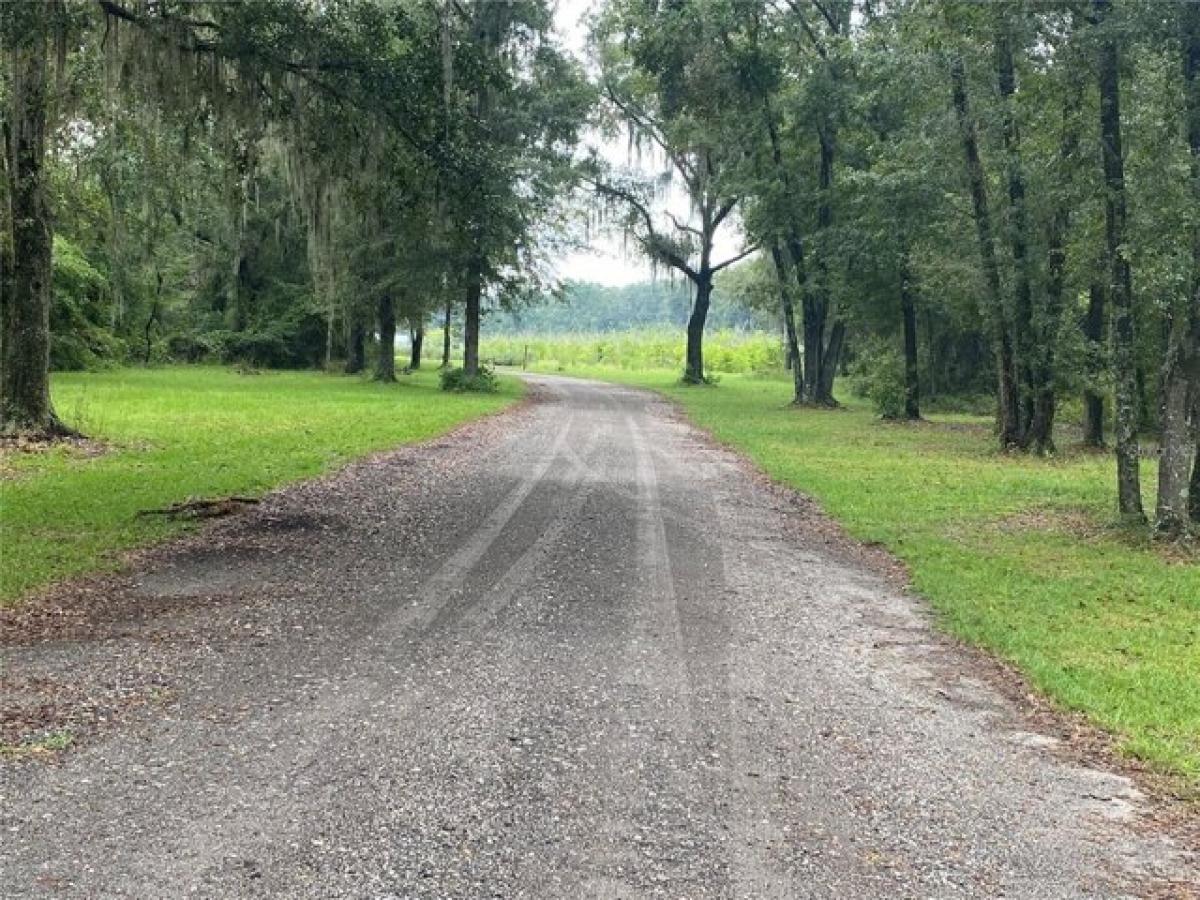 Picture of Residential Land For Sale in Gainesville, Florida, United States