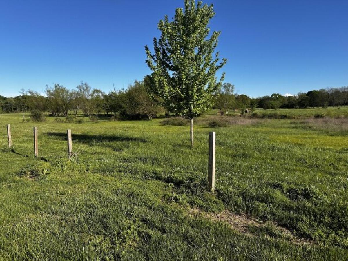 Picture of Home For Sale in Aurora, Missouri, United States