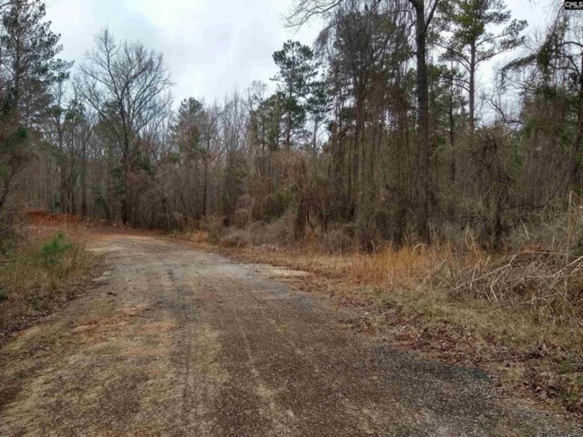 Picture of Residential Land For Sale in Winnsboro, South Carolina, United States