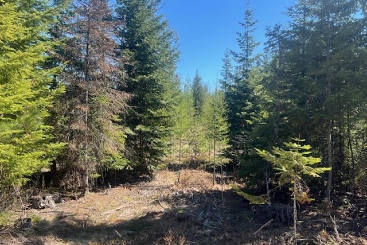 Picture of Residential Land For Sale in Sandpoint, Idaho, United States