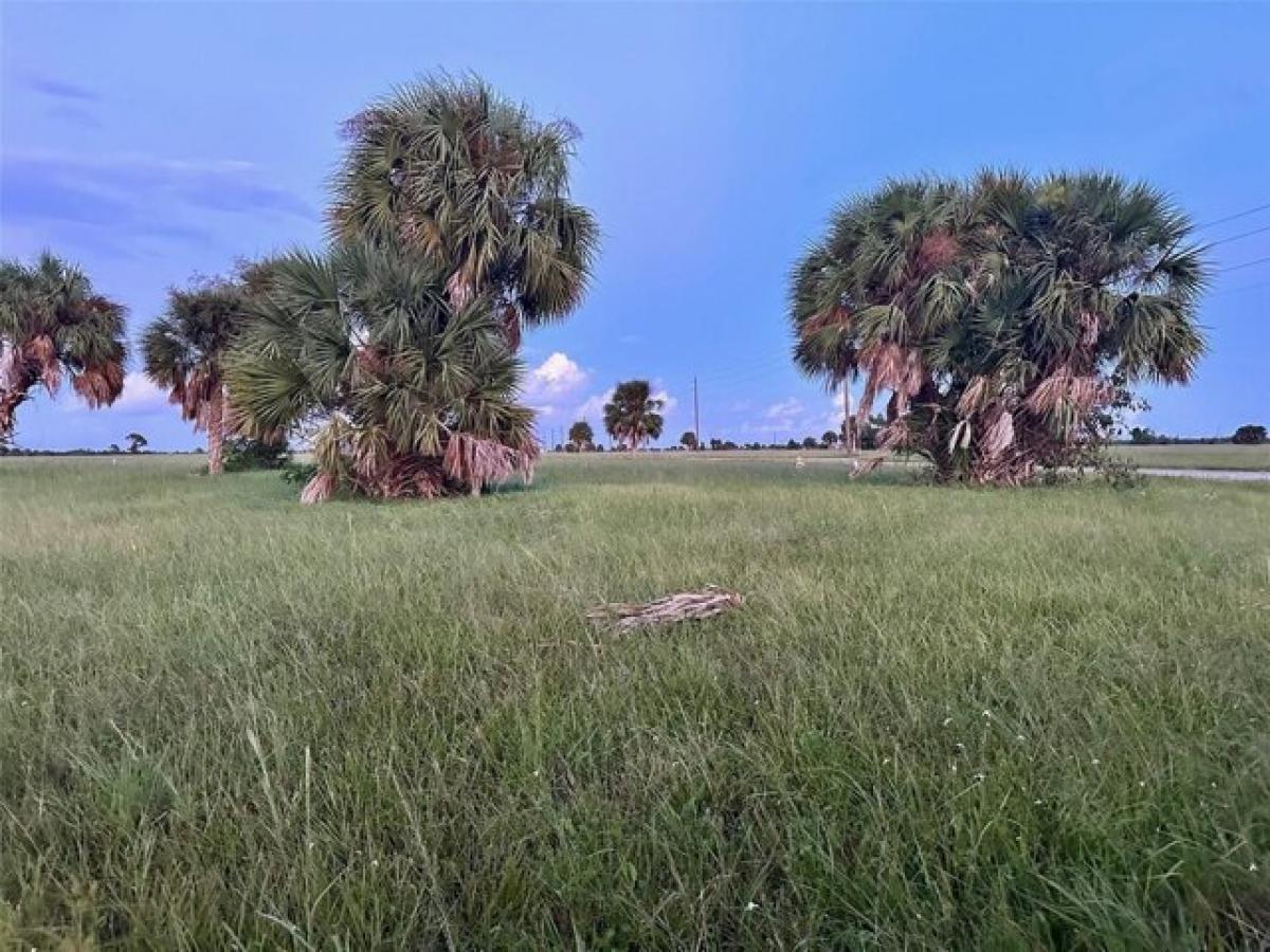 Picture of Residential Land For Sale in Placida, Florida, United States