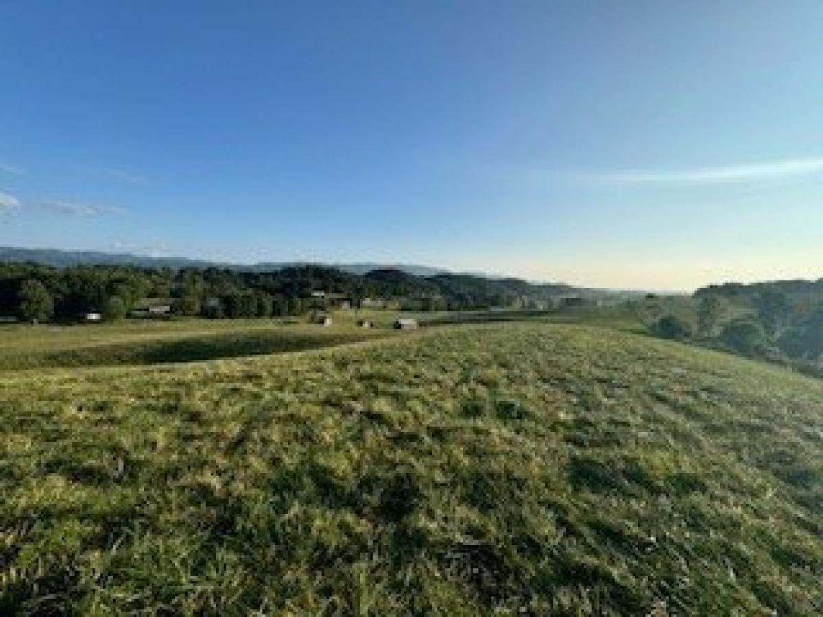 Picture of Residential Land For Sale in Meadowview, Virginia, United States