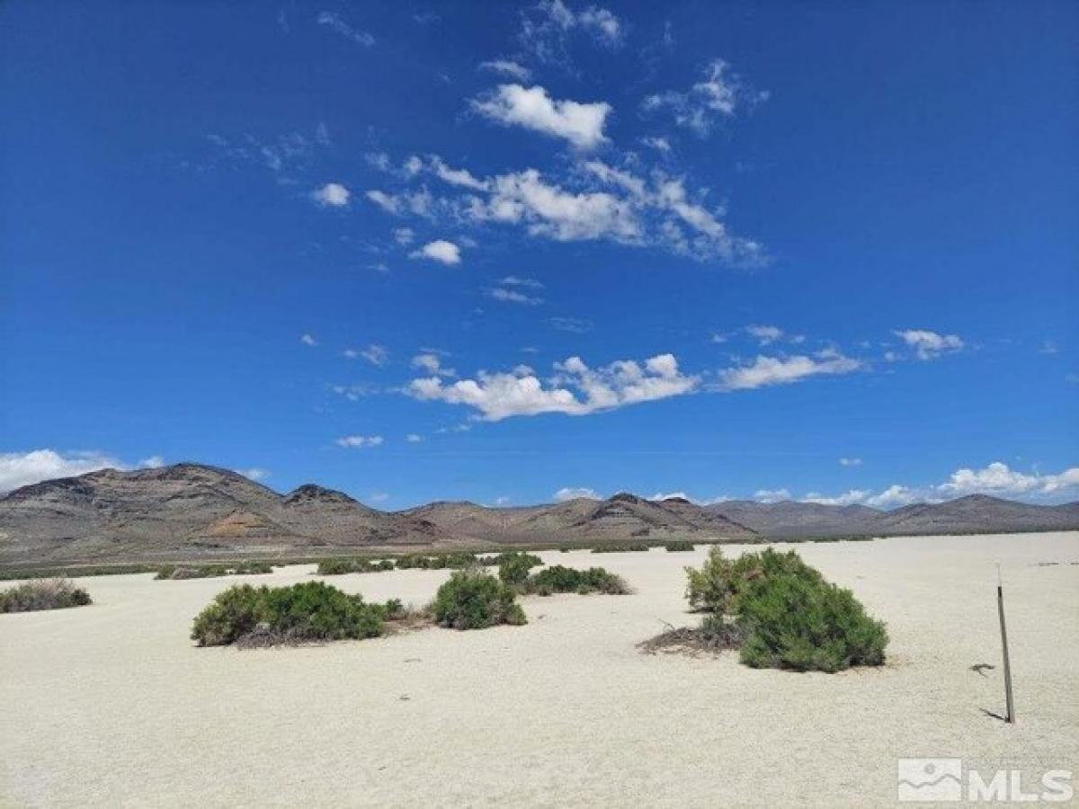 Picture of Residential Land For Sale in Winnemucca, Nevada, United States