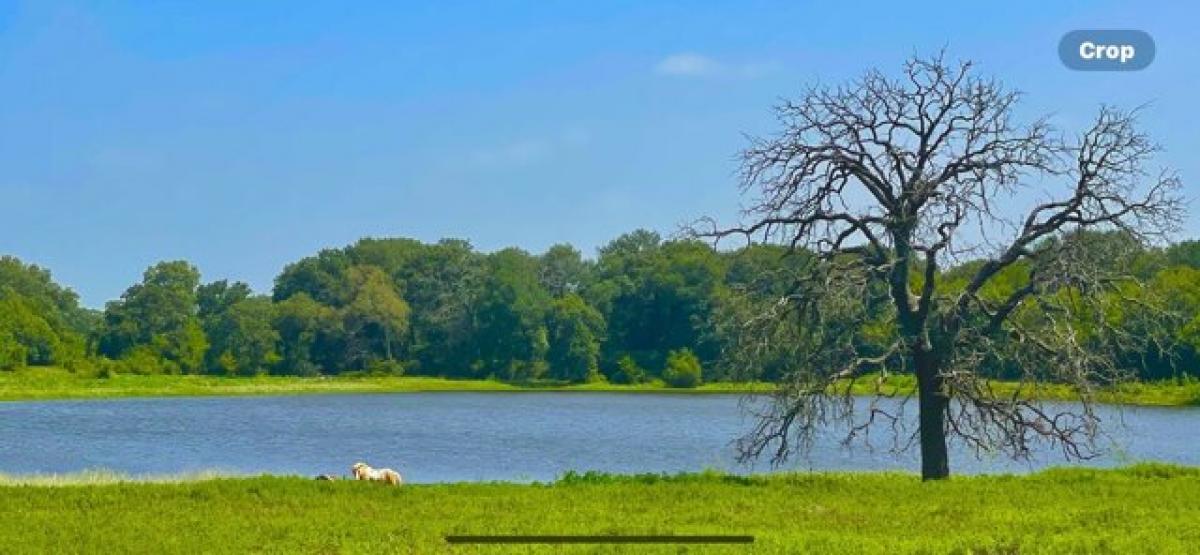 Picture of Residential Land For Sale in Aquilla, Texas, United States