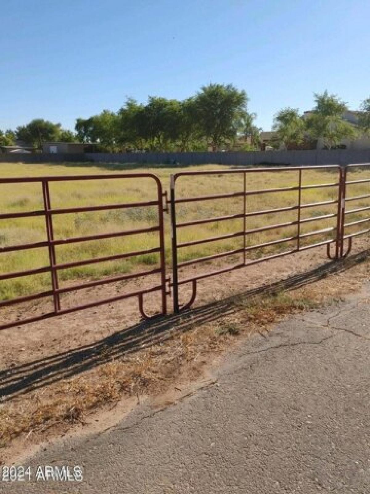 Picture of Residential Land For Sale in Gilbert, Arizona, United States