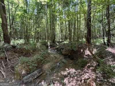 Residential Land For Sale in Union Point, Georgia