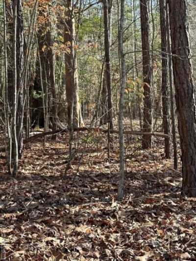 Residential Land For Sale in Ebony, Virginia