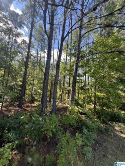 Residential Land For Sale in Jemison, Alabama