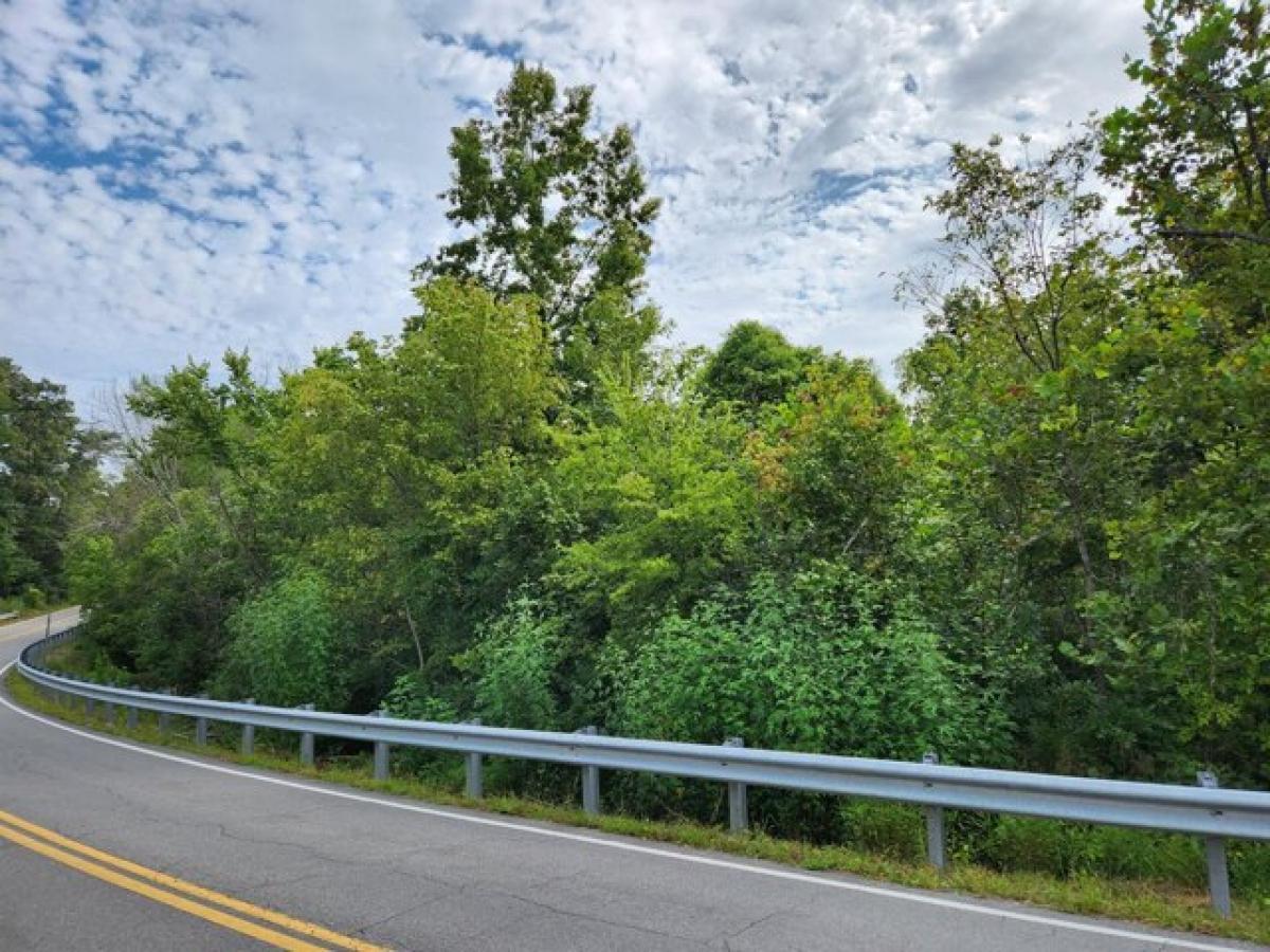 Picture of Residential Land For Sale in Tellico Plains, Tennessee, United States