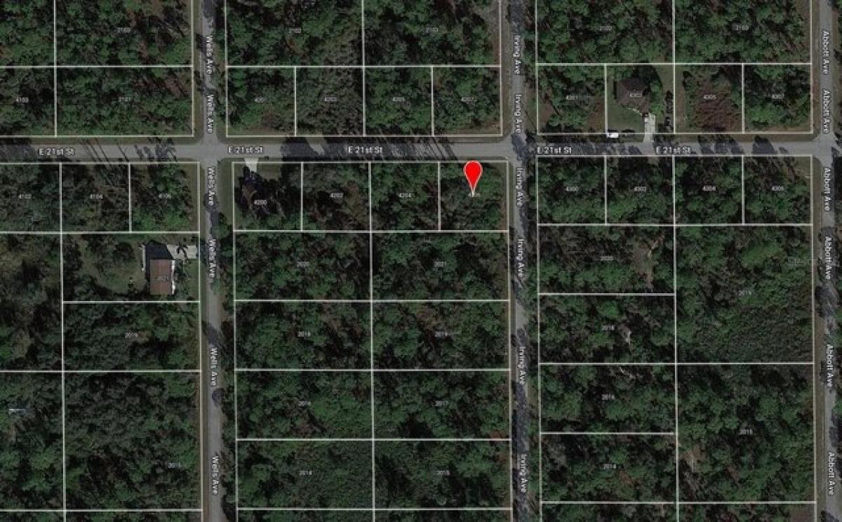 Picture of Residential Land For Sale in Alva, Florida, United States