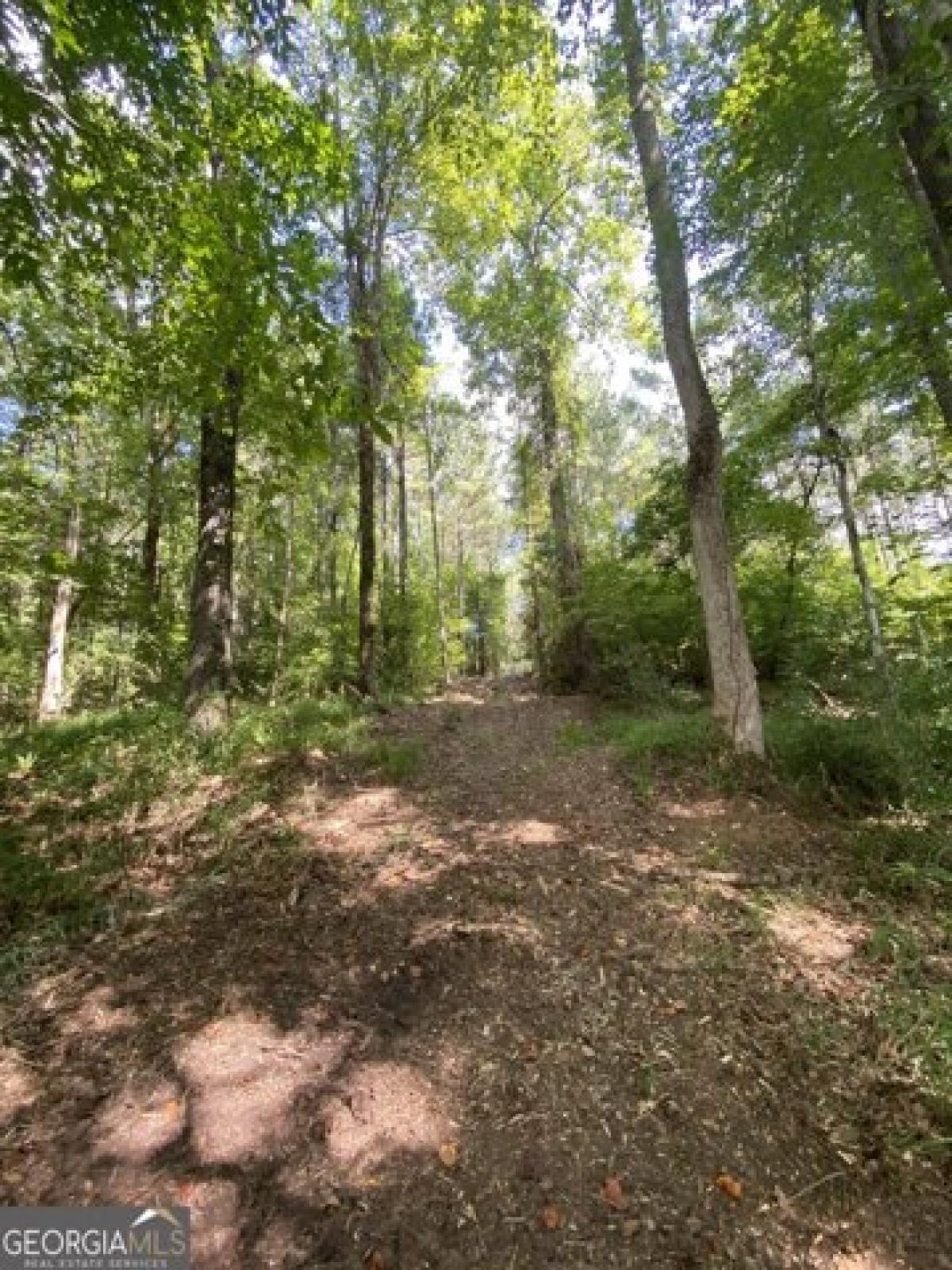 Picture of Residential Land For Sale in Hogansville, Georgia, United States