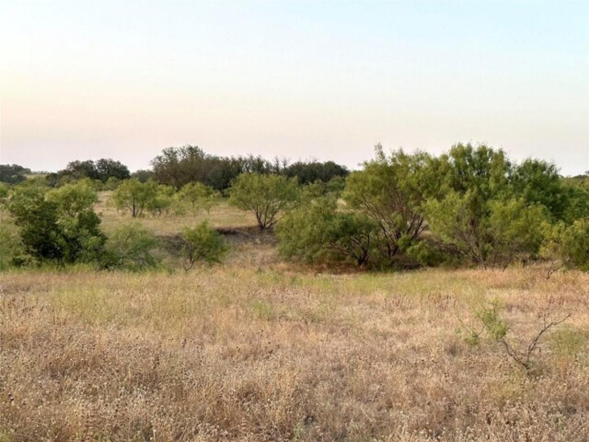 Picture of Residential Land For Sale in Goldthwaite, Texas, United States