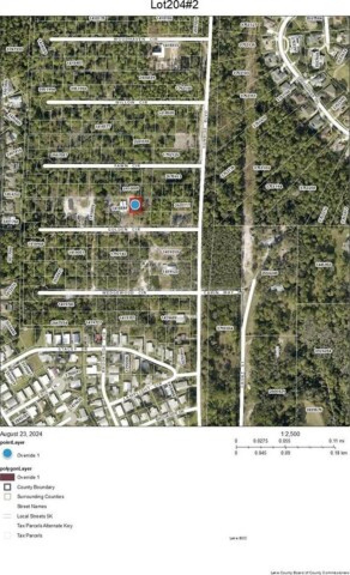 Picture of Residential Land For Sale in Mount Dora, Florida, United States