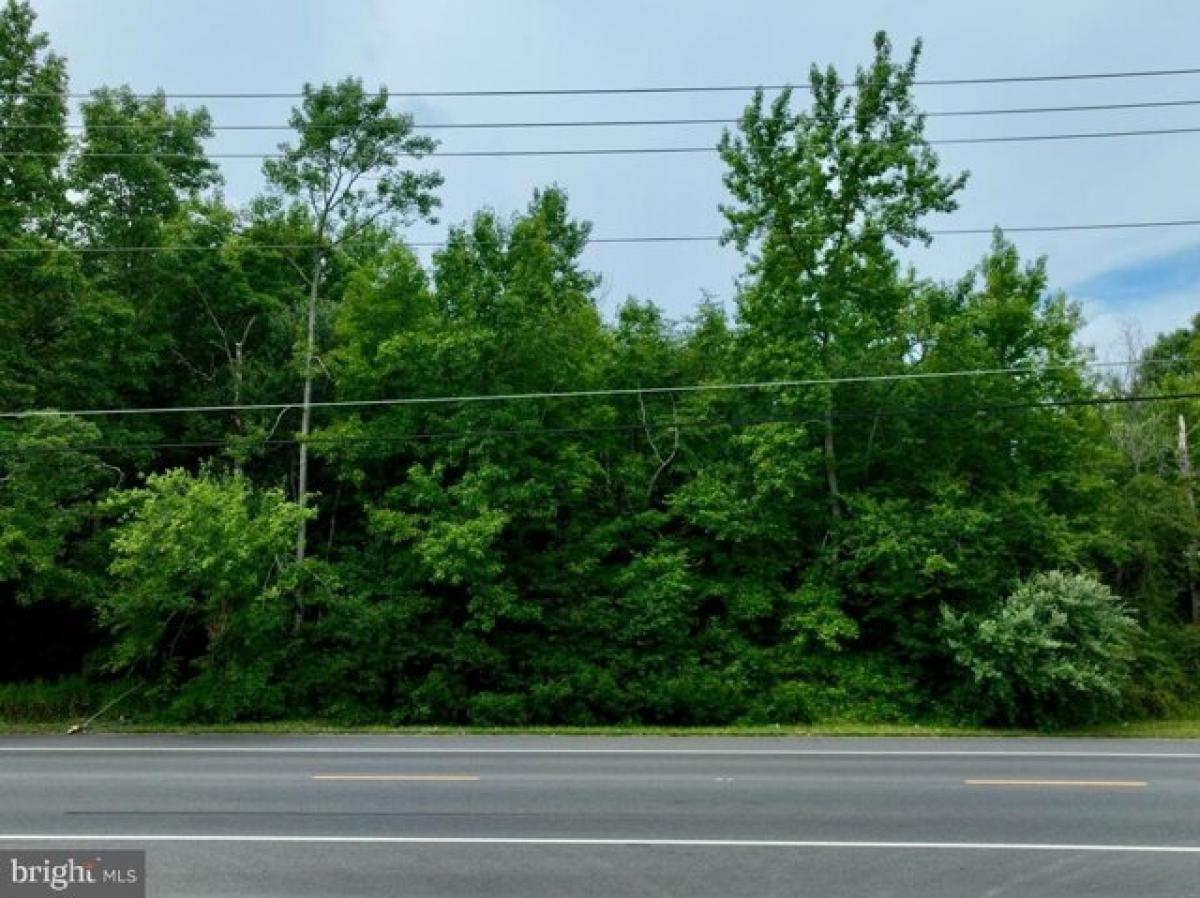 Picture of Residential Land For Sale in Pennsville, New Jersey, United States