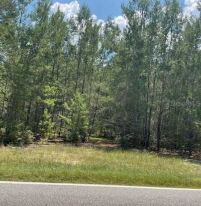 Residential Land For Sale in Florahome, Florida