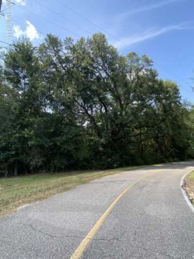 Residential Land For Rent in Carriere, Mississippi