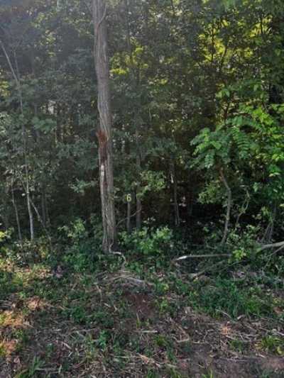 Residential Land For Sale in Clarksville, Virginia