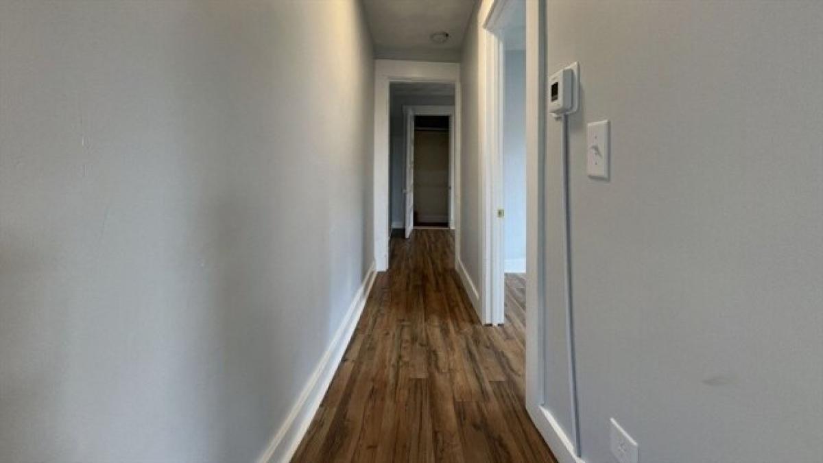 Picture of Apartment For Rent in Brockton, Massachusetts, United States