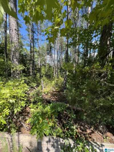 Residential Land For Sale in Jemison, Alabama