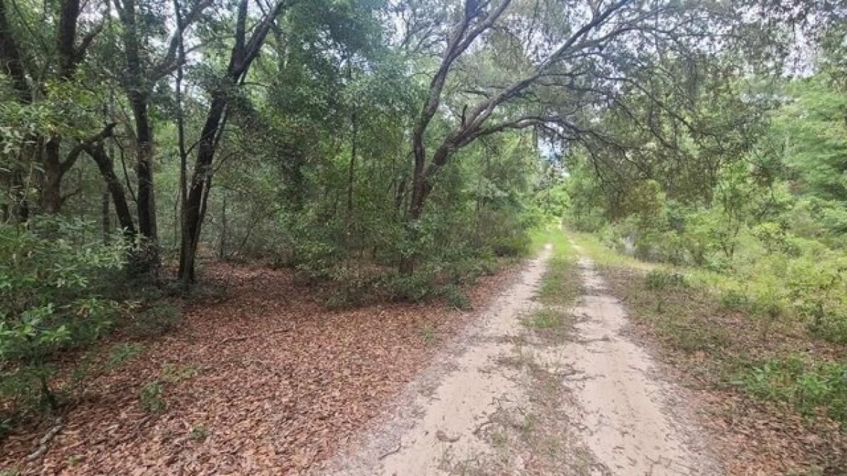 Picture of Residential Land For Sale in Bronson, Florida, United States