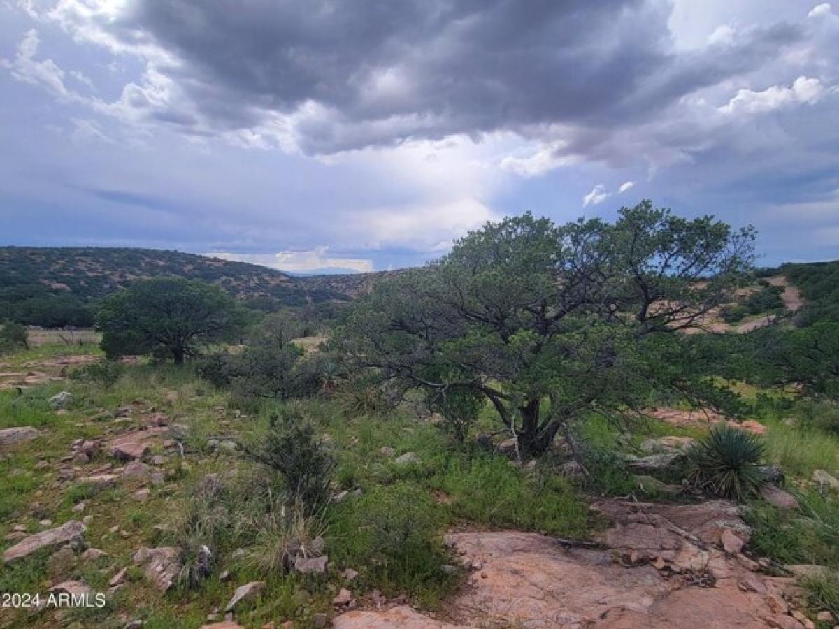 Picture of Residential Land For Sale in Bisbee, Arizona, United States