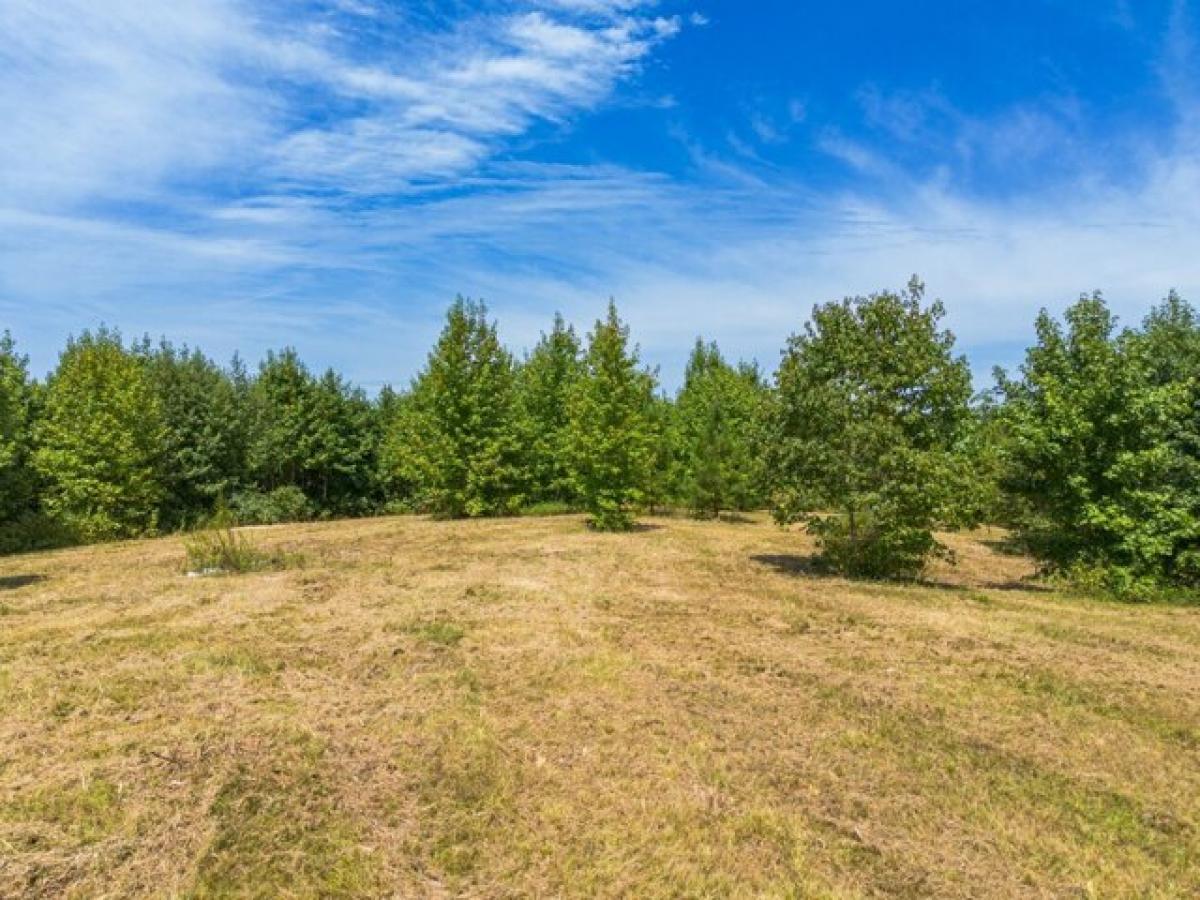 Picture of Residential Land For Sale in Saint Joseph, Tennessee, United States