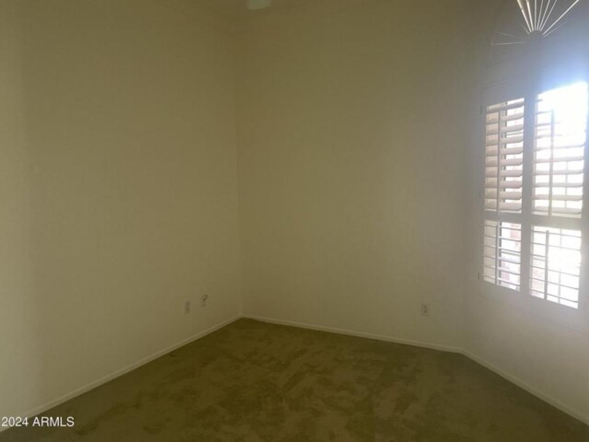 Picture of Home For Rent in Sun City, Arizona, United States