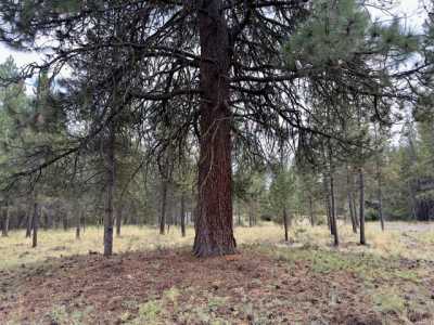 Residential Land For Sale in 