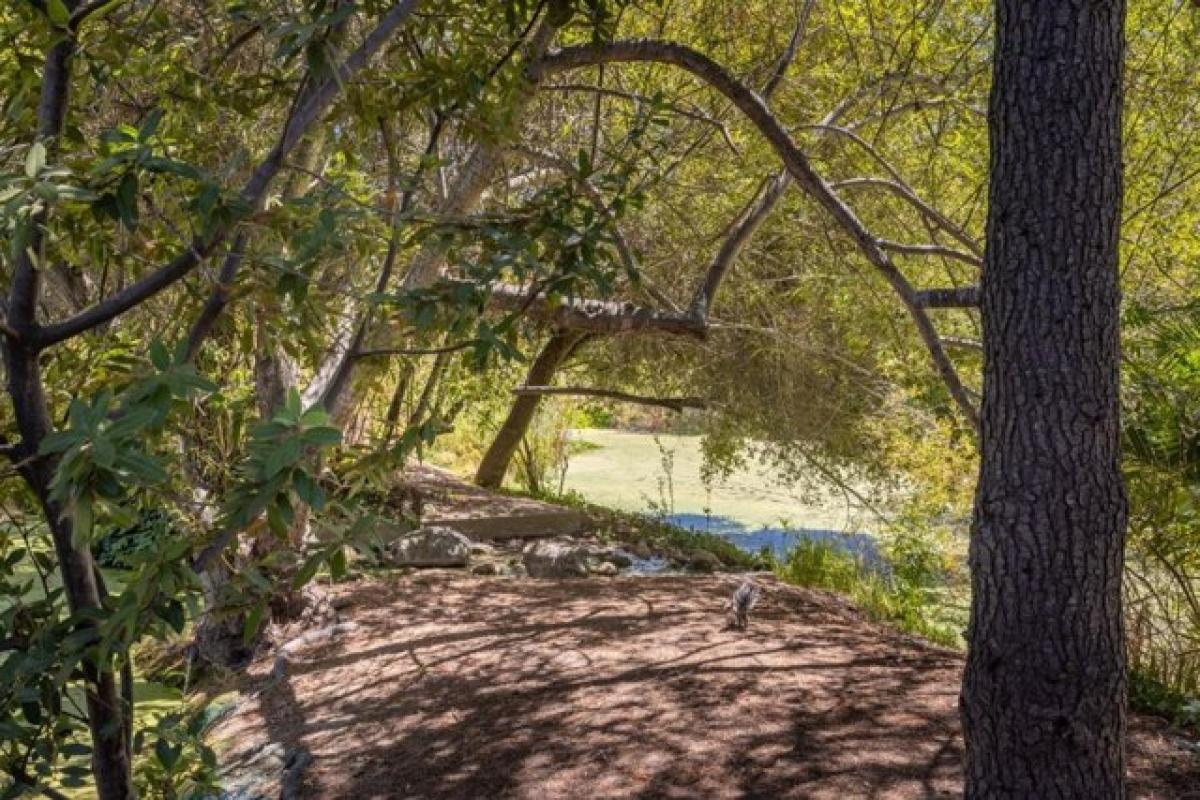 Picture of Home For Sale in Carmel Valley, California, United States