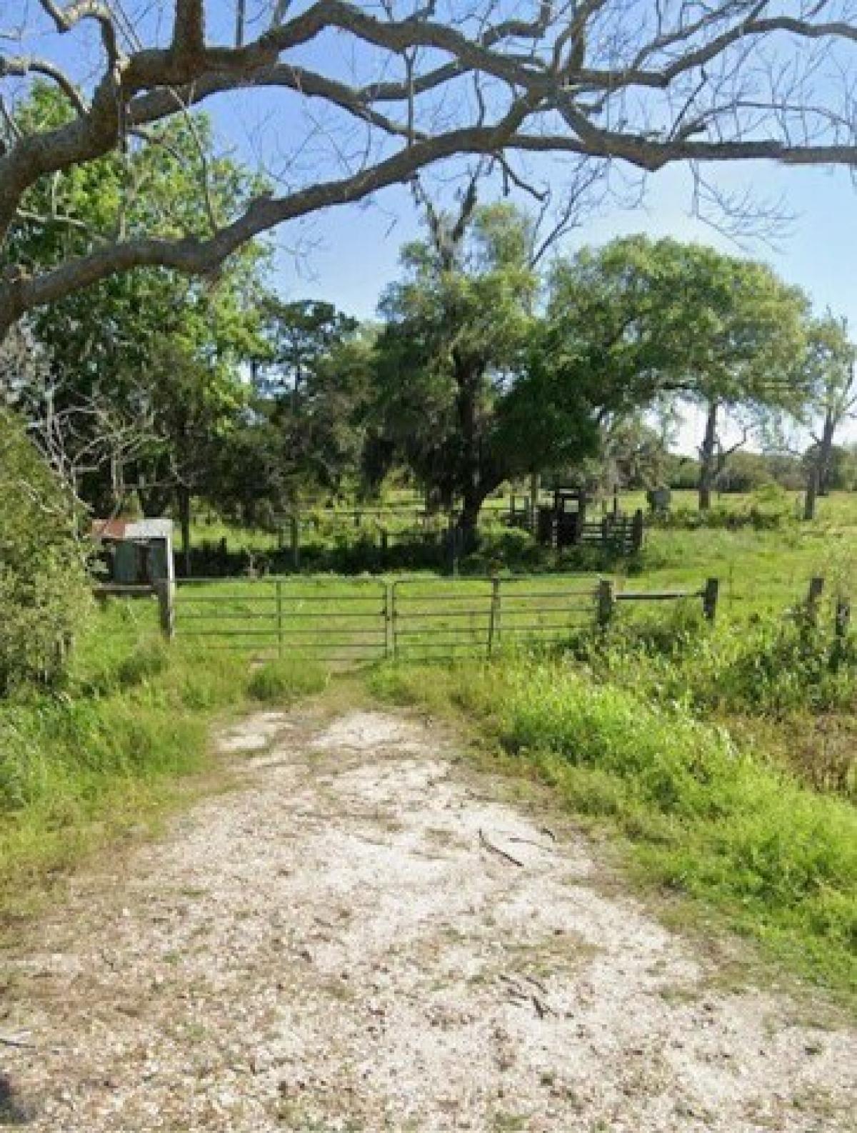 Picture of Residential Land For Sale in Brazoria, Texas, United States