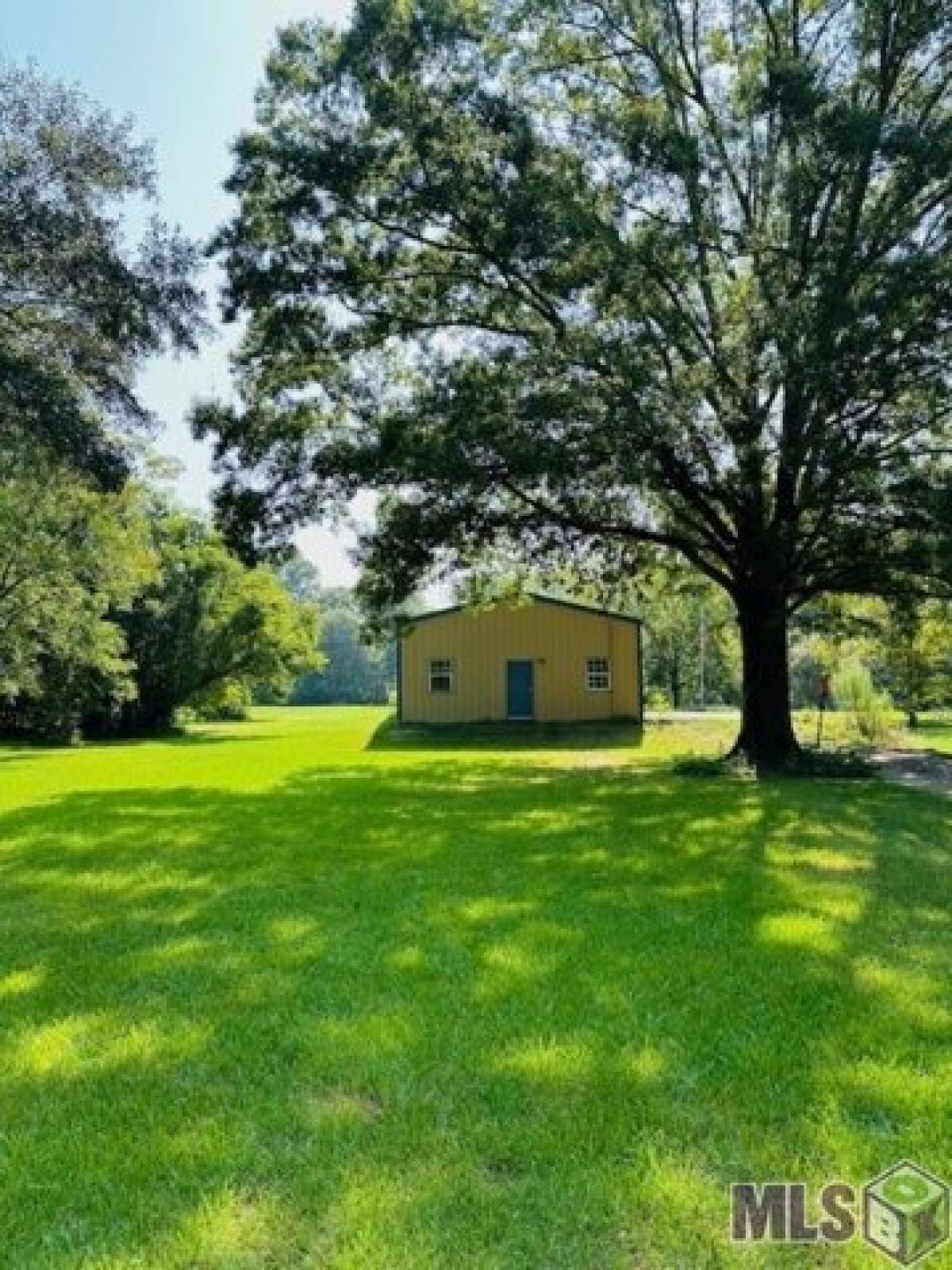 Picture of Residential Land For Sale in Slaughter, Louisiana, United States