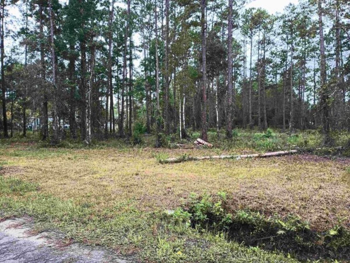 Picture of Residential Land For Sale in Hastings, Florida, United States