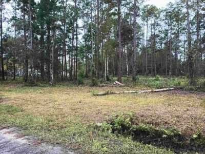 Residential Land For Sale in Hastings, Florida