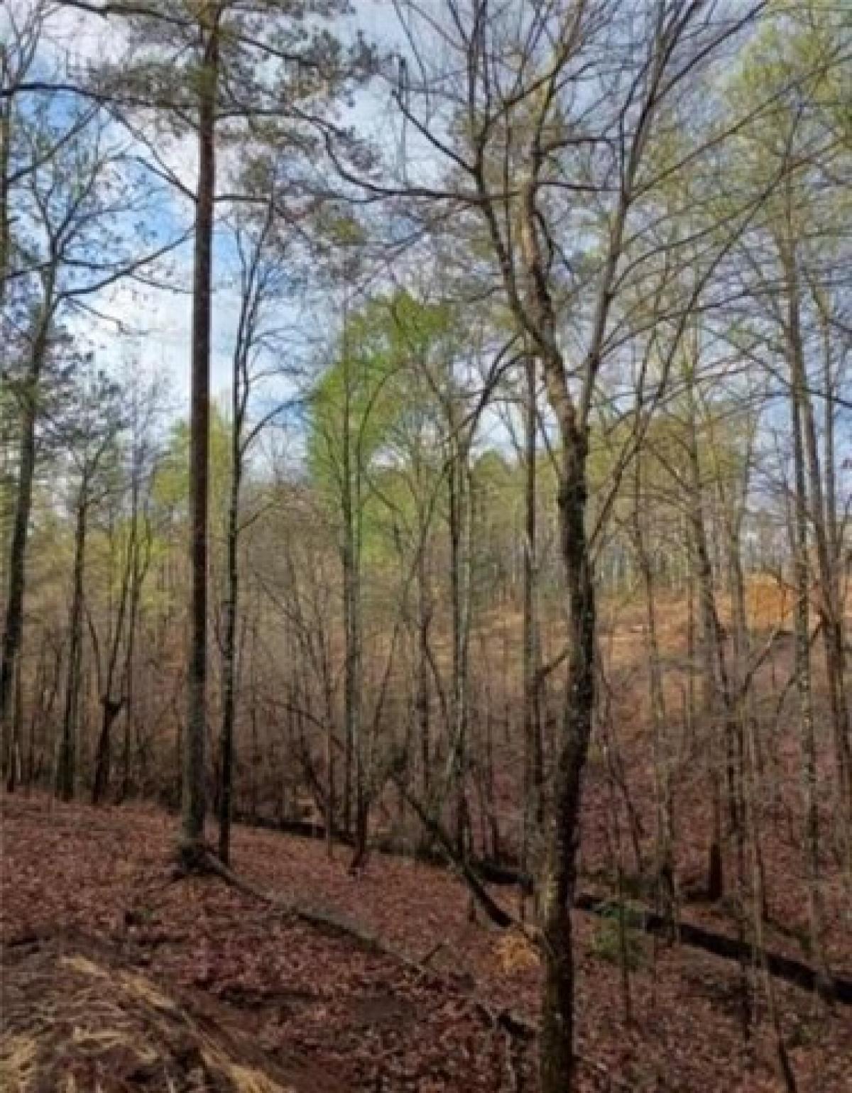 Picture of Residential Land For Sale in Canton, Georgia, United States