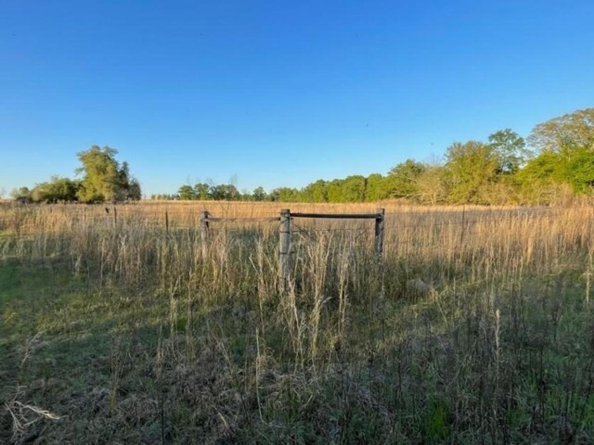 Picture of Residential Land For Sale in Blakely, Georgia, United States