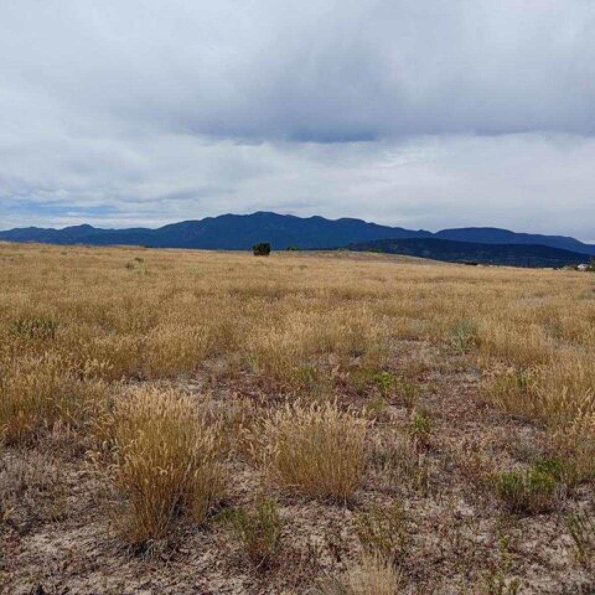 Picture of Residential Land For Rent in Colorado City, Colorado, United States