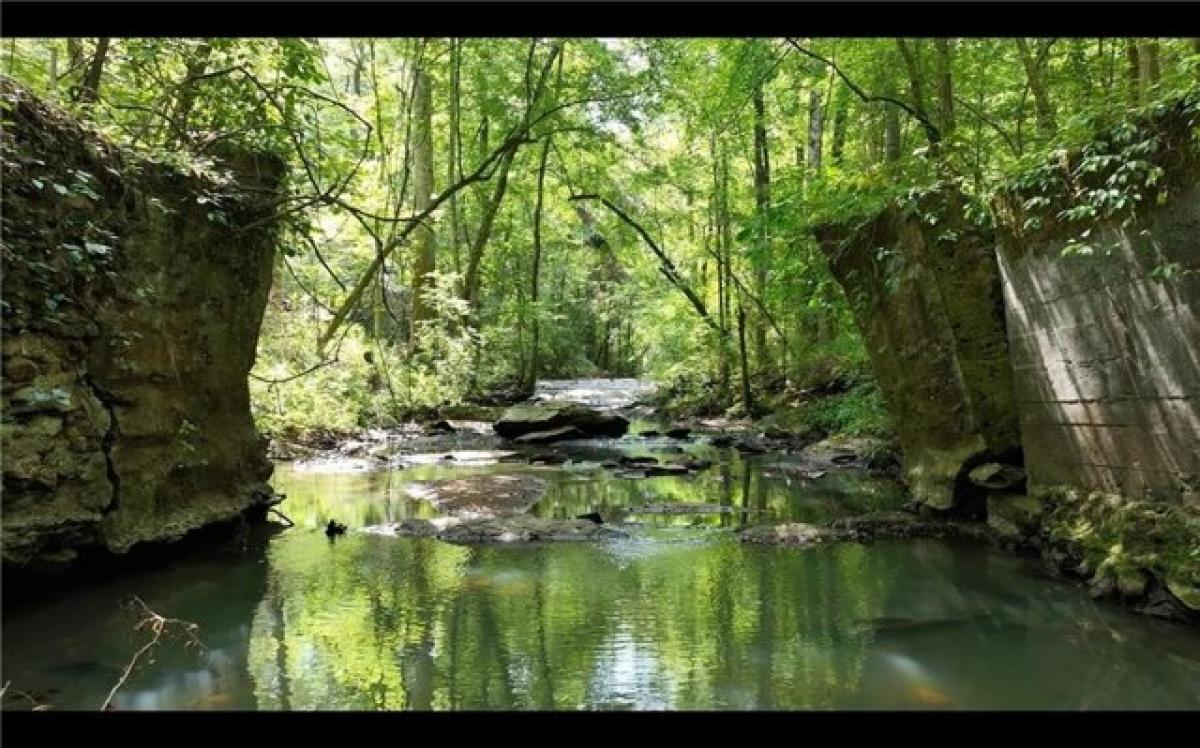 Picture of Residential Land For Sale in Auburn, Alabama, United States