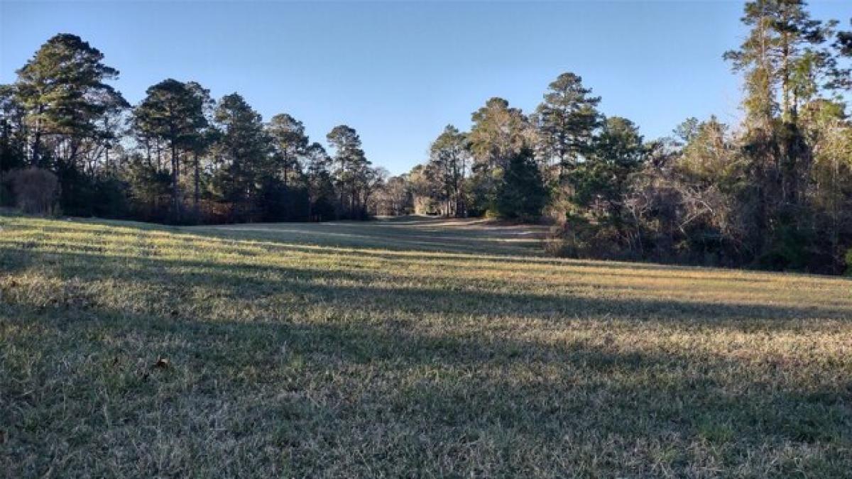 Picture of Residential Land For Sale in Brookeland, Texas, United States