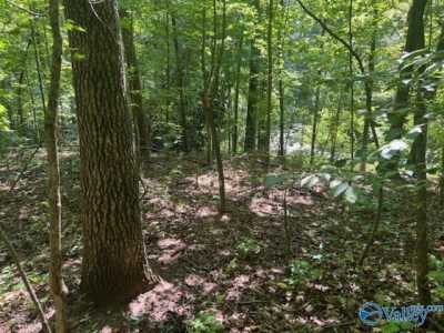 Residential Land For Sale in Somerville, Alabama