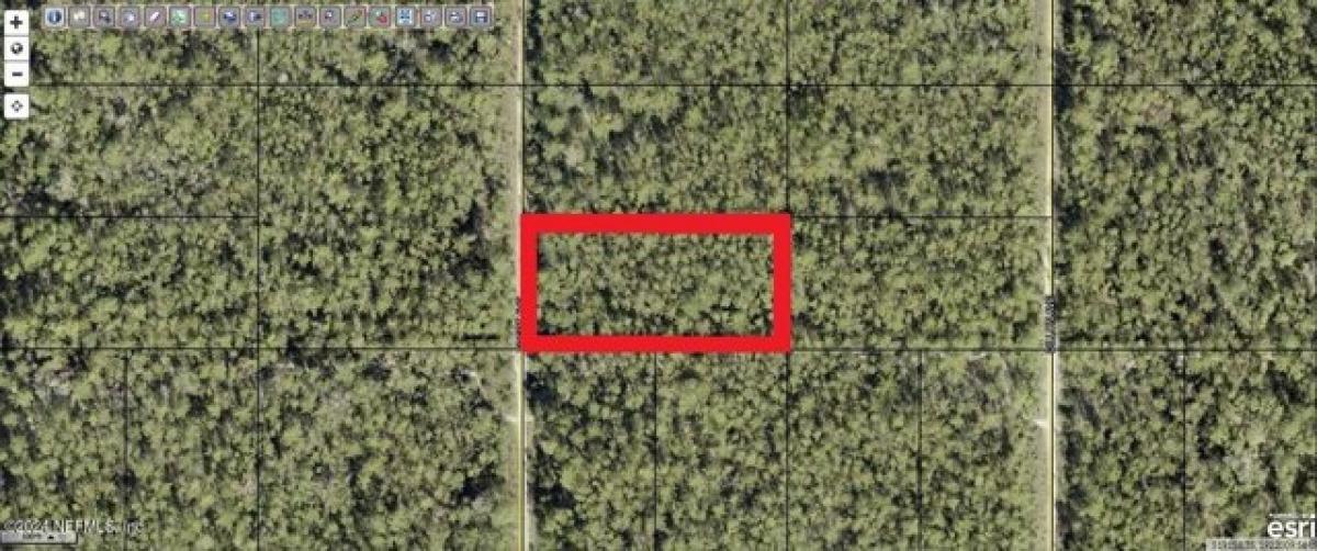 Picture of Residential Land For Sale in Hastings, Florida, United States