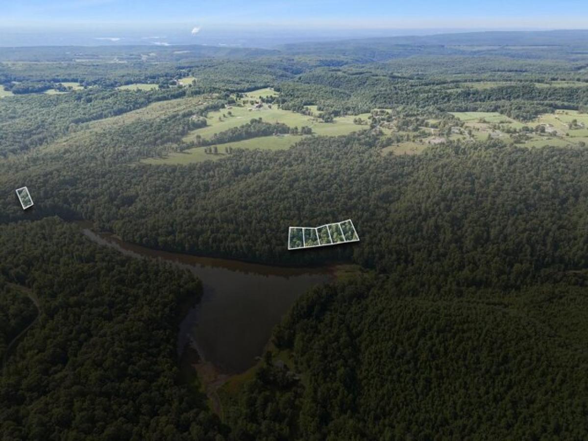 Picture of Residential Land For Sale in Grandview, Tennessee, United States