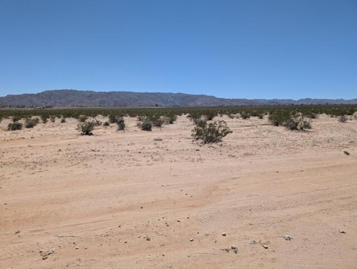 Picture of Residential Land For Sale in Twentynine Palms, California, United States