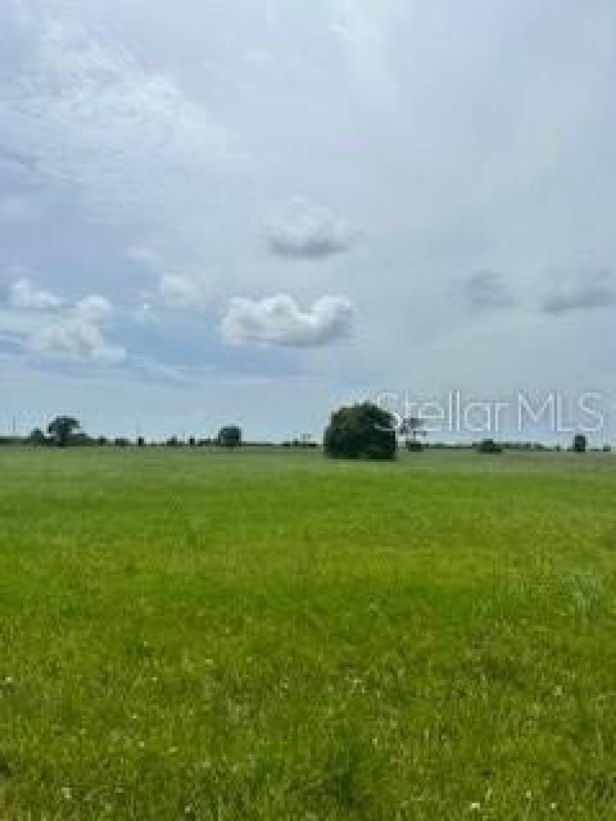 Picture of Residential Land For Sale in Placida, Florida, United States