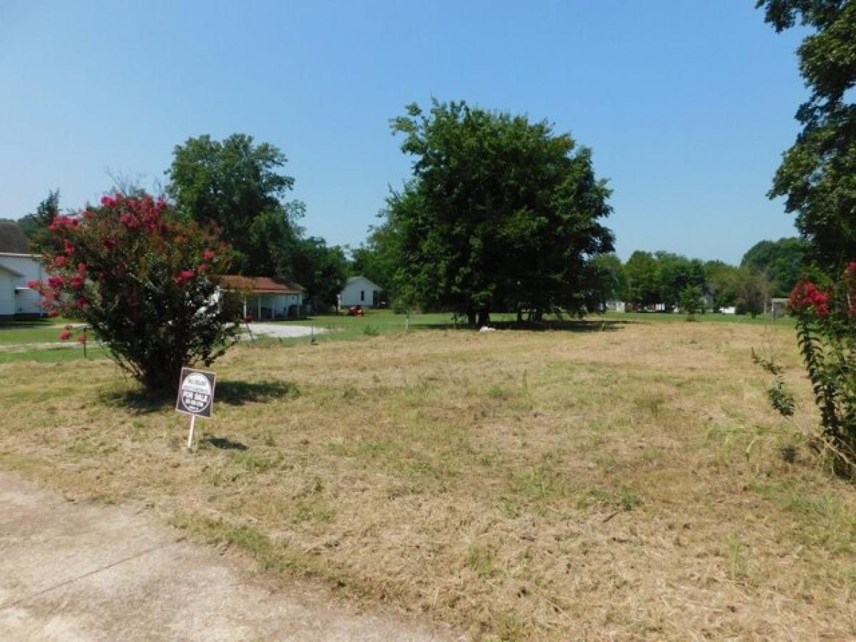 Picture of Residential Land For Sale in Waverly, Tennessee, United States