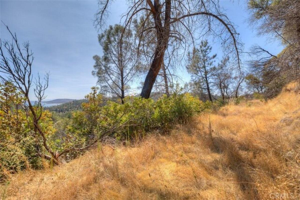 Picture of Residential Land For Sale in Berry Creek, California, United States