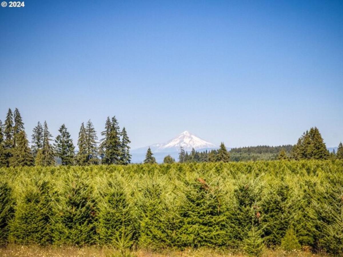 Picture of Residential Land For Sale in Beavercreek, Oregon, United States