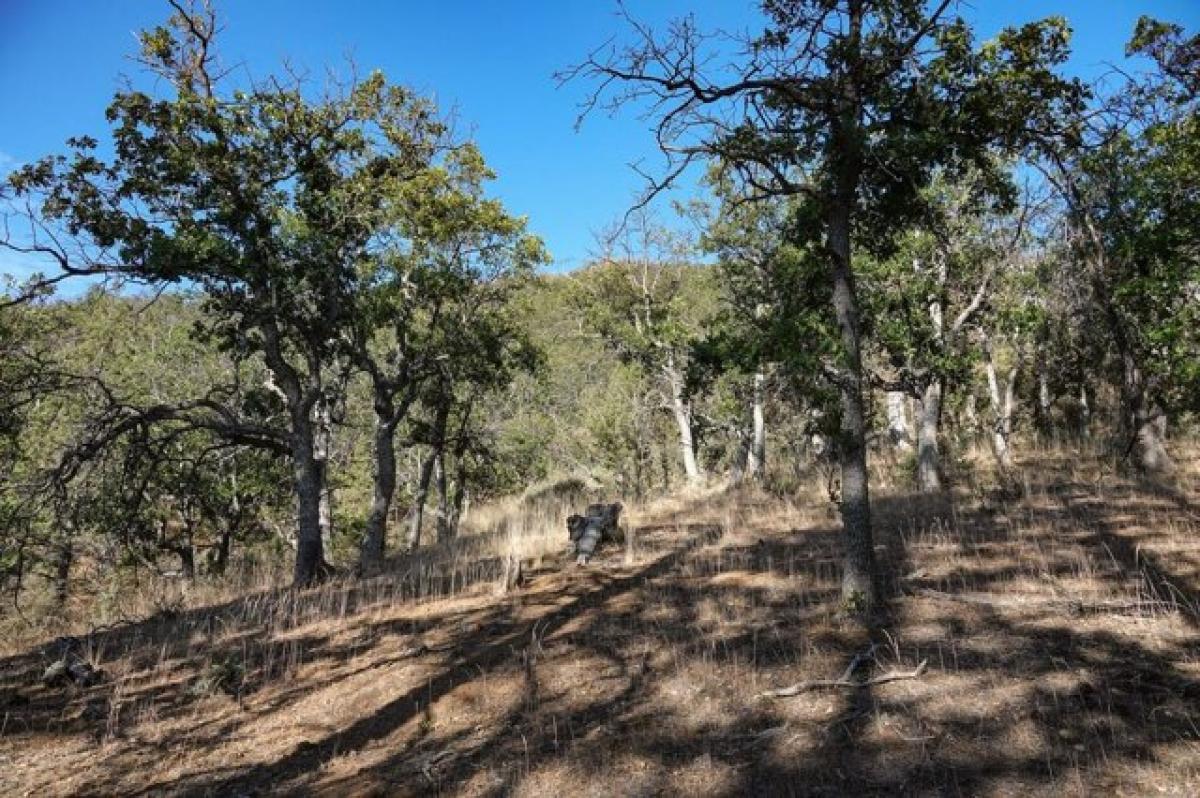 Picture of Residential Land For Sale in Fort Jones, California, United States