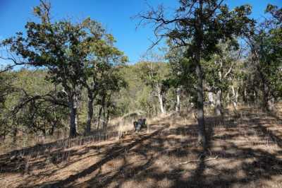 Residential Land For Sale in Fort Jones, California