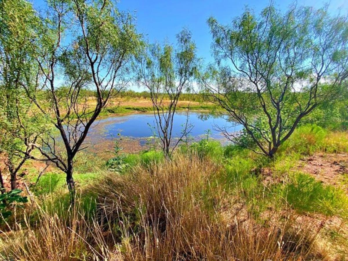 Picture of Residential Land For Sale in Snyder, Texas, United States