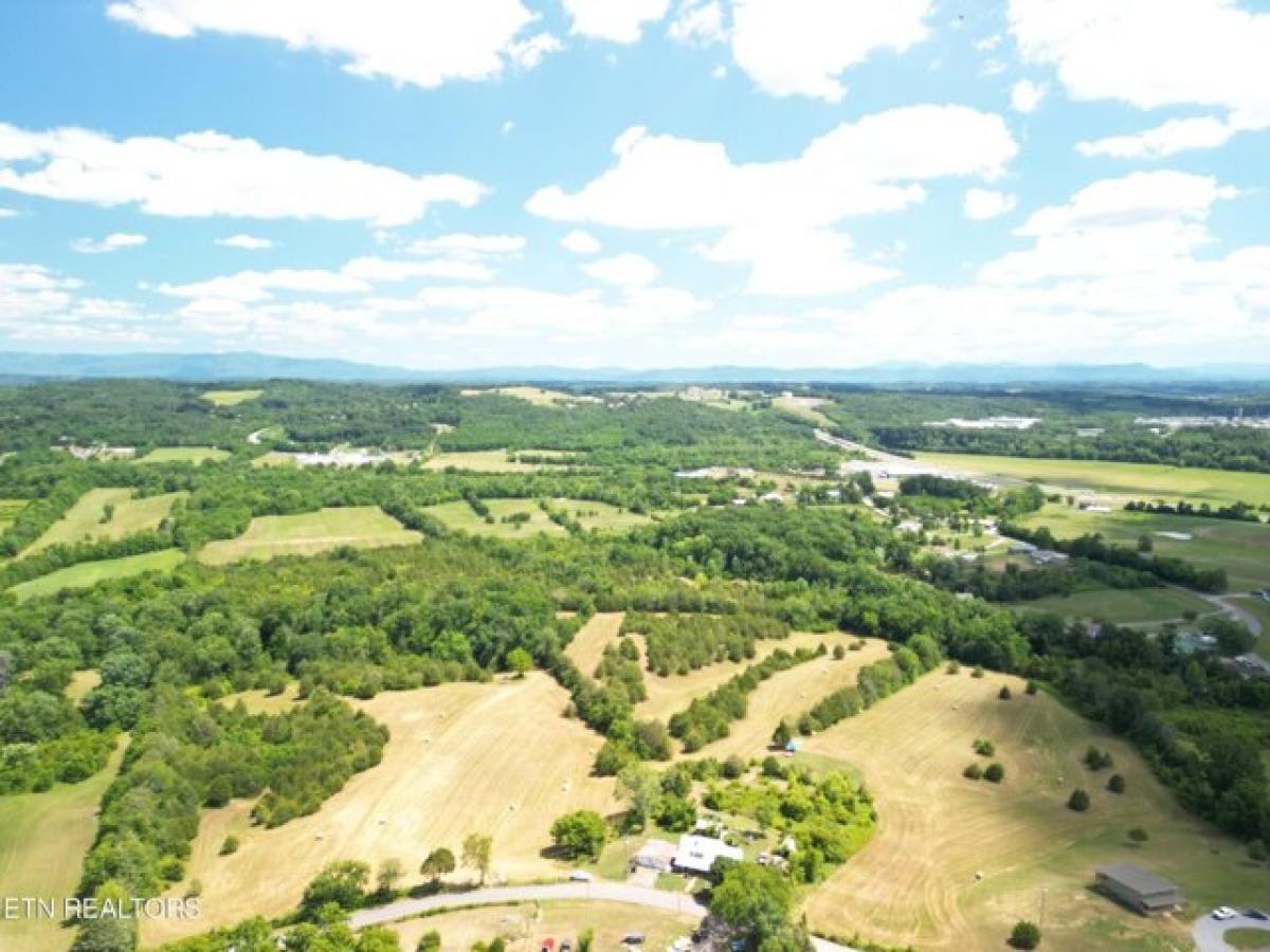 Picture of Residential Land For Sale in Mosheim, Tennessee, United States